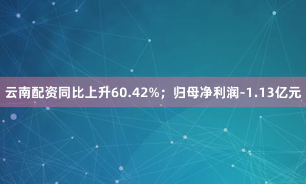 云南配资同比上升60.42%；归母净利润-1.13亿元