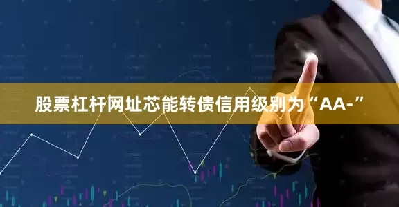 股票杠杆网址芯能转债信用级别为“AA-”