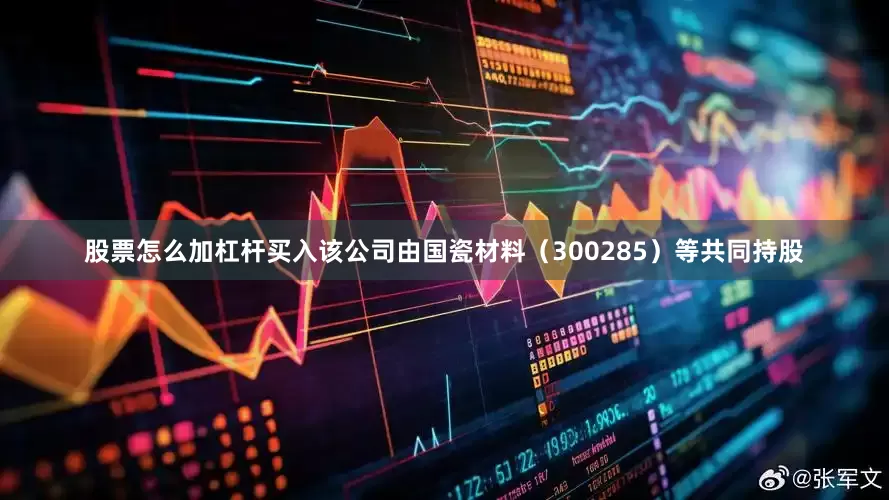 股票怎么加杠杆买入该公司由国瓷材料（300285）等共同持股