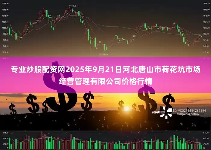 专业炒股配资网2025年9月21日河北唐山市荷花坑市场经营管理有限公司价格行情